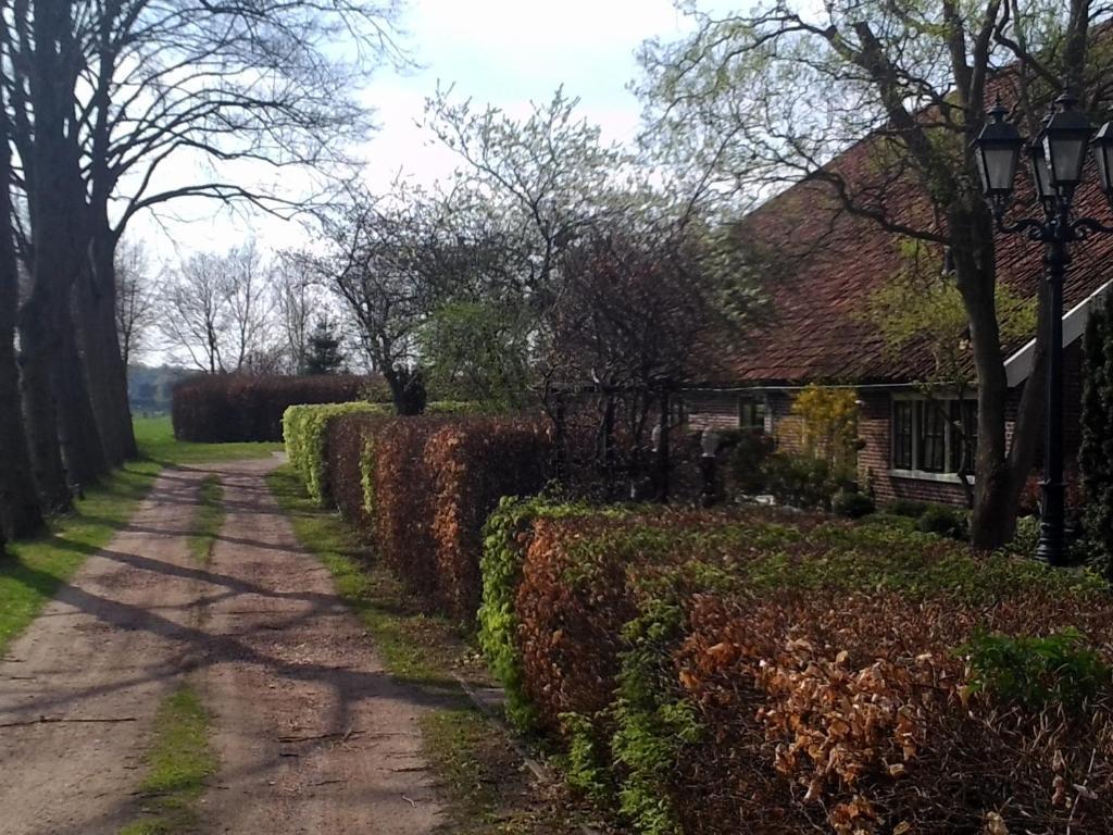 Bed & Breakfast Uiterburen Zuidbroek 외부 사진